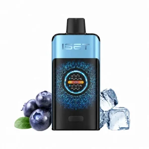 IGET ONE – Blackberry Ice
